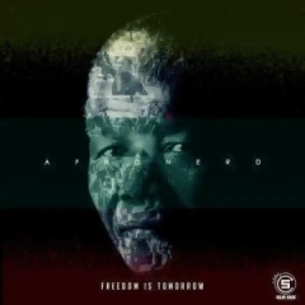 AfroNerd - Fly Away (feat. Boyzee)